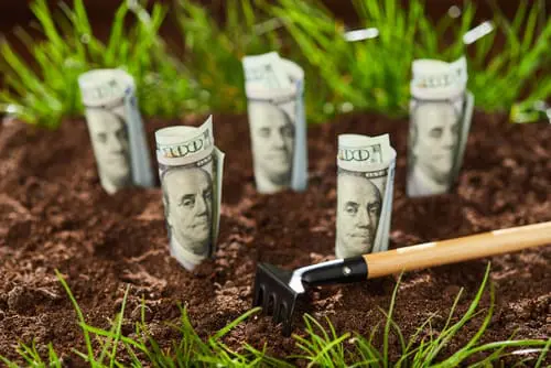 Money growing from ground.
